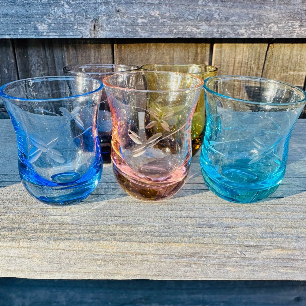 Mid-Century Bohemian Etched Dragonfly Glasses Cordial Liquer Set Of 5 - Picture 1 of 11